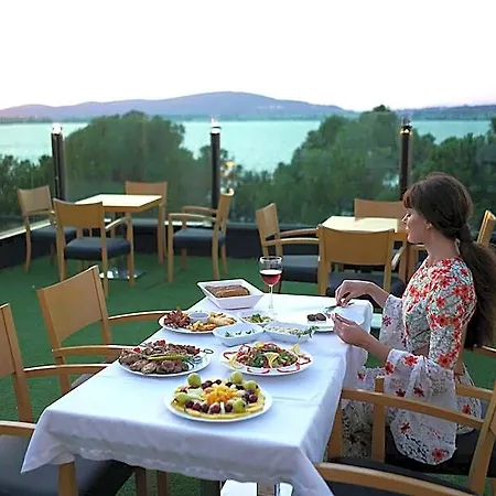 Camlik 87 Ayvalı
